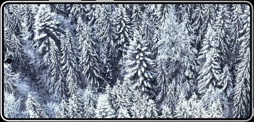 Tela do Galaxy S25 Ultra exibindo uma paisagem com cores vivas